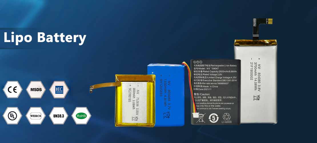 Lithium Ion Polymer Battery Pack