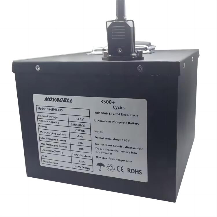 48V 20Ah 30AH 40AH 50Ah LIFEPO4 Lithium battery with C14 plug Bluetooth RS485 CAN for industrial battery