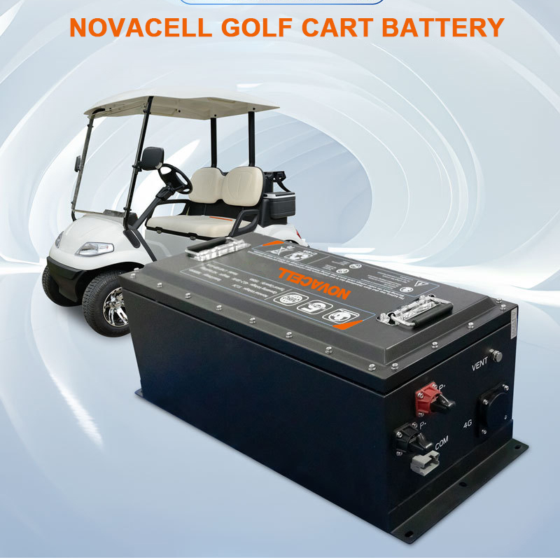 48V 36V 60V 72V 100Ah 200Ah sodium ion golf cart golfcart electric lithium lifepo4 battery