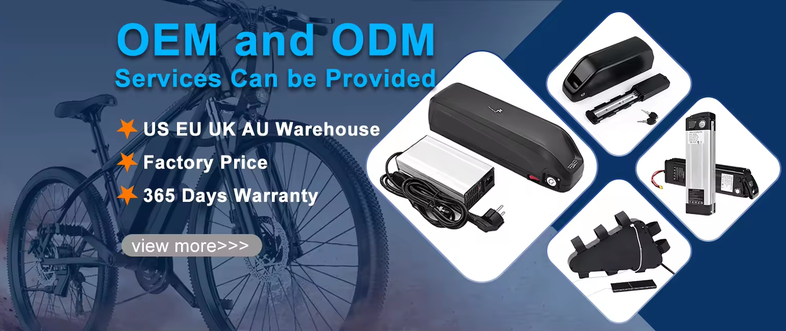 electric bike battery